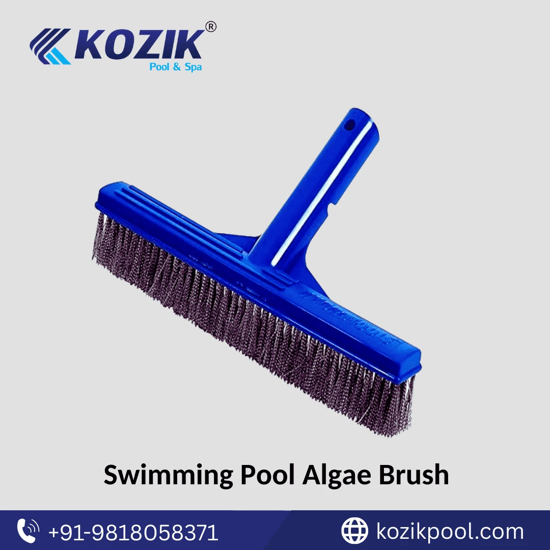 Swimming Pool Alge Brush